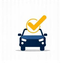 Auto usate certificate